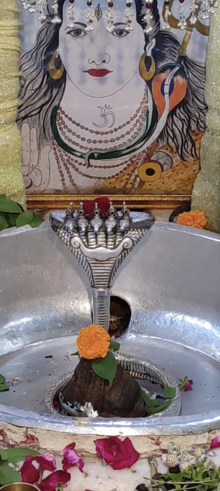 Rudrabhishek to Shree Kubereshwar Mahadev