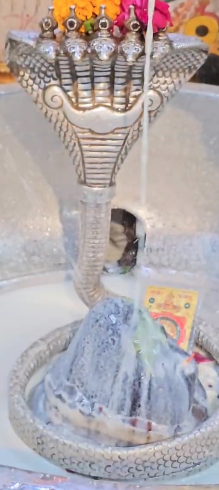 Rudrabhishek to Shree Kubereshwar Mahadev