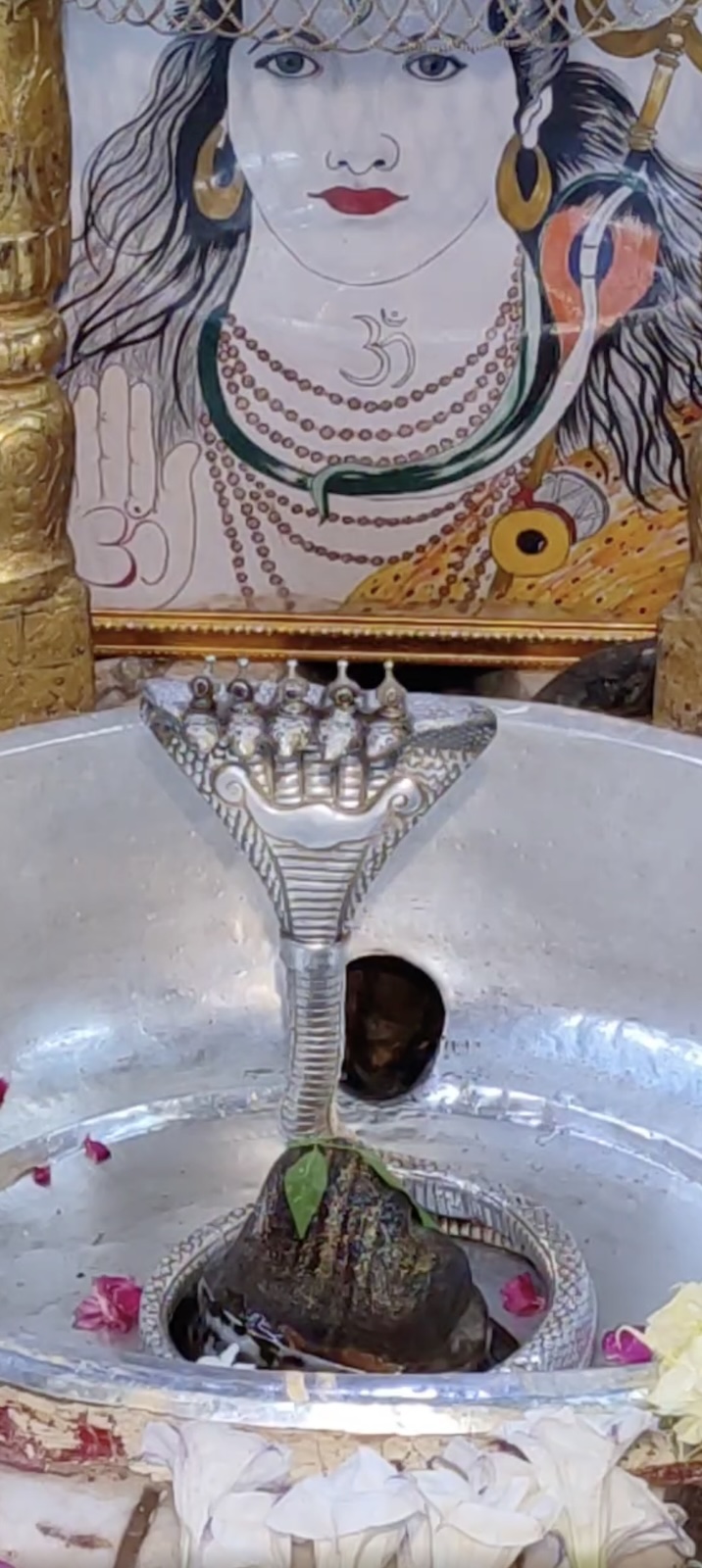 Rudrabhishek to Shree Kubereshwar Mahadev