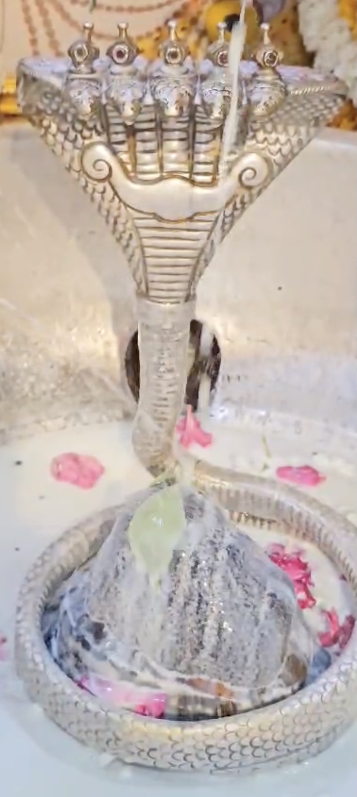 Rudrabhishek to Shree Kubereshwar Mahadev