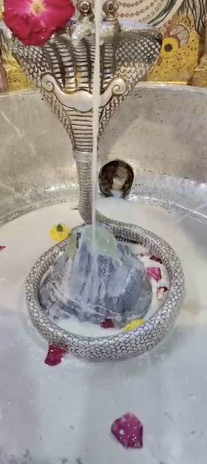 Rudrabhishek to Shree Kubereshwar Mahadev