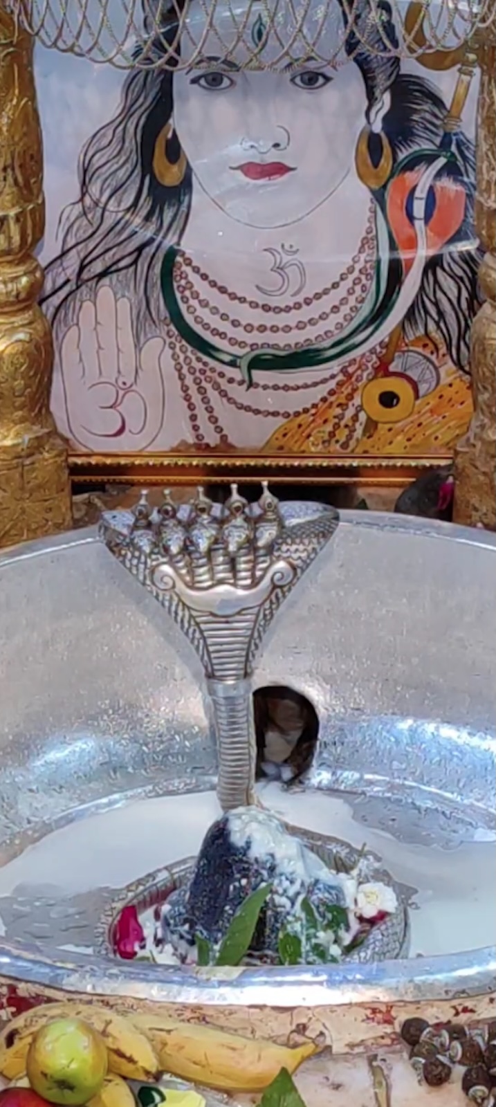 Rudrabhishek to Shree Kubereshwar Mahadev