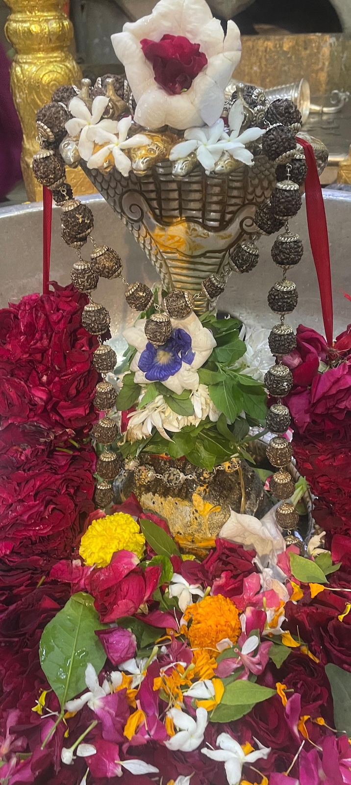 Rudrabhishek to Shree Kubereshwar Mahadev