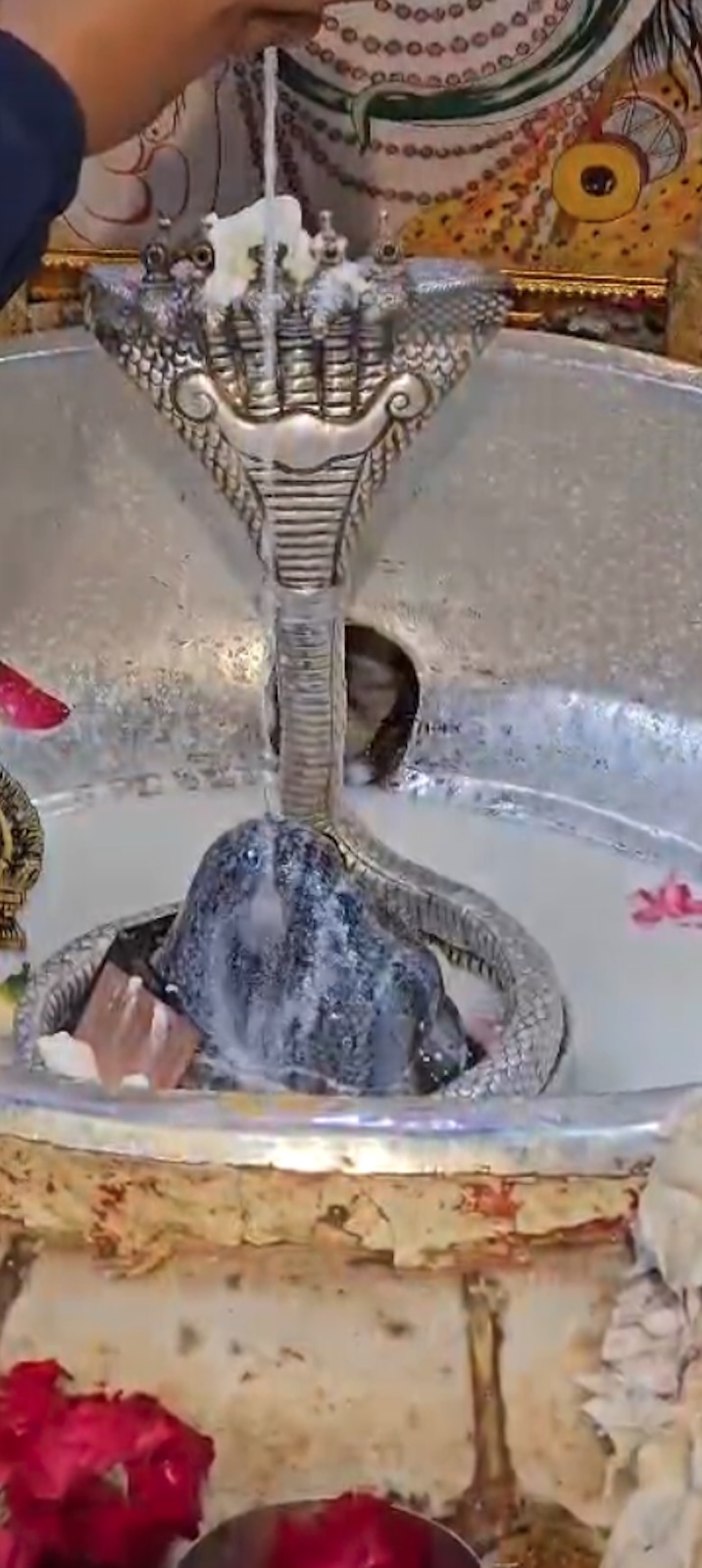 Rudrabhishek to Shree Kubereshwar Mahadev