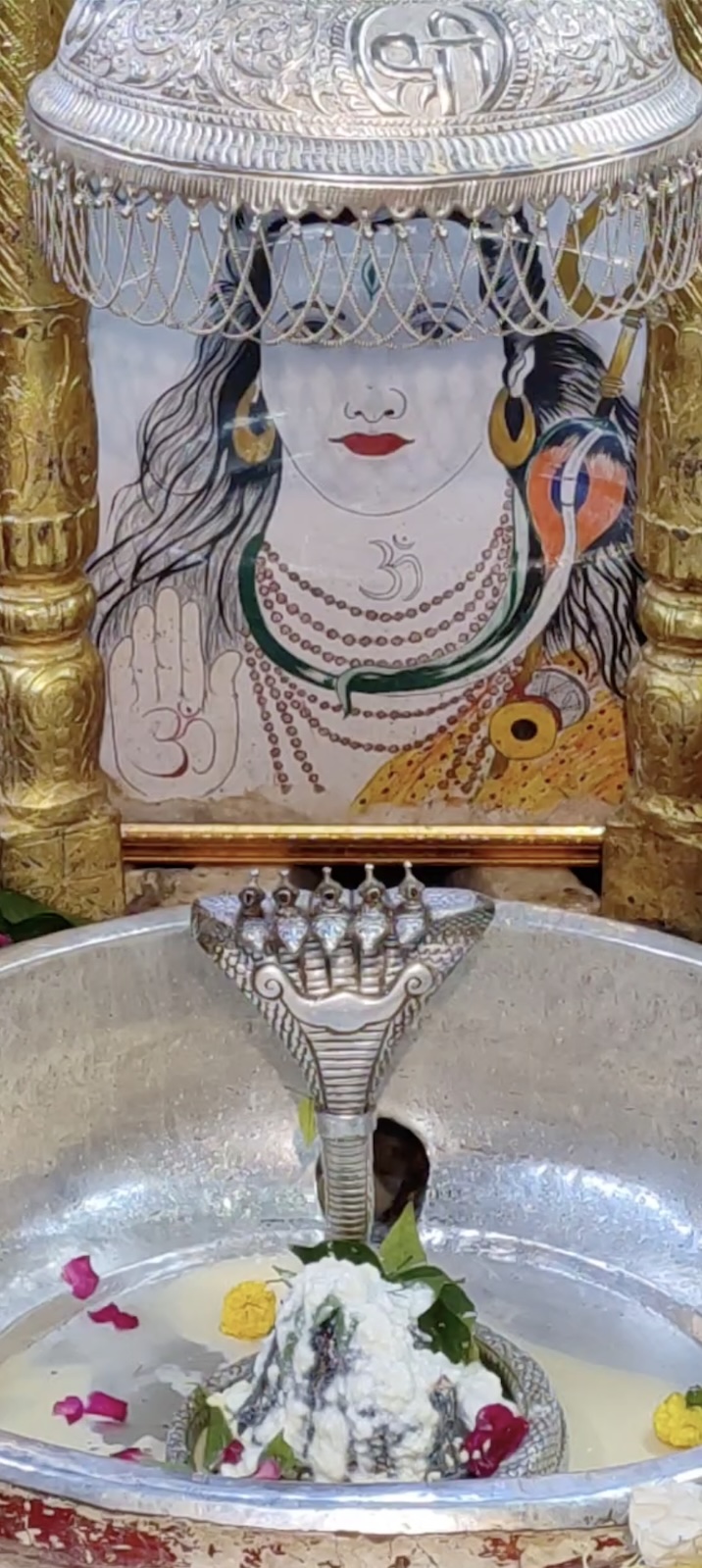 Rudrabhishek to Shree Kubereshwar Mahadev