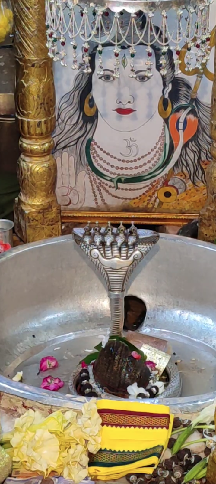 Rudrabhishek to Shree Kubereshwar Mahadev