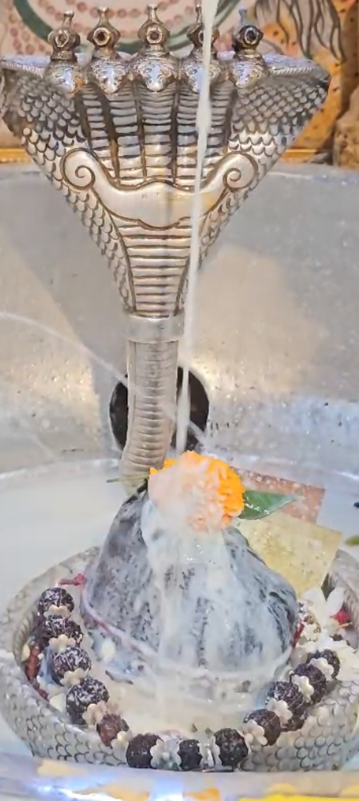 Rudrabhishek to Shree Kubereshwar Mahadev