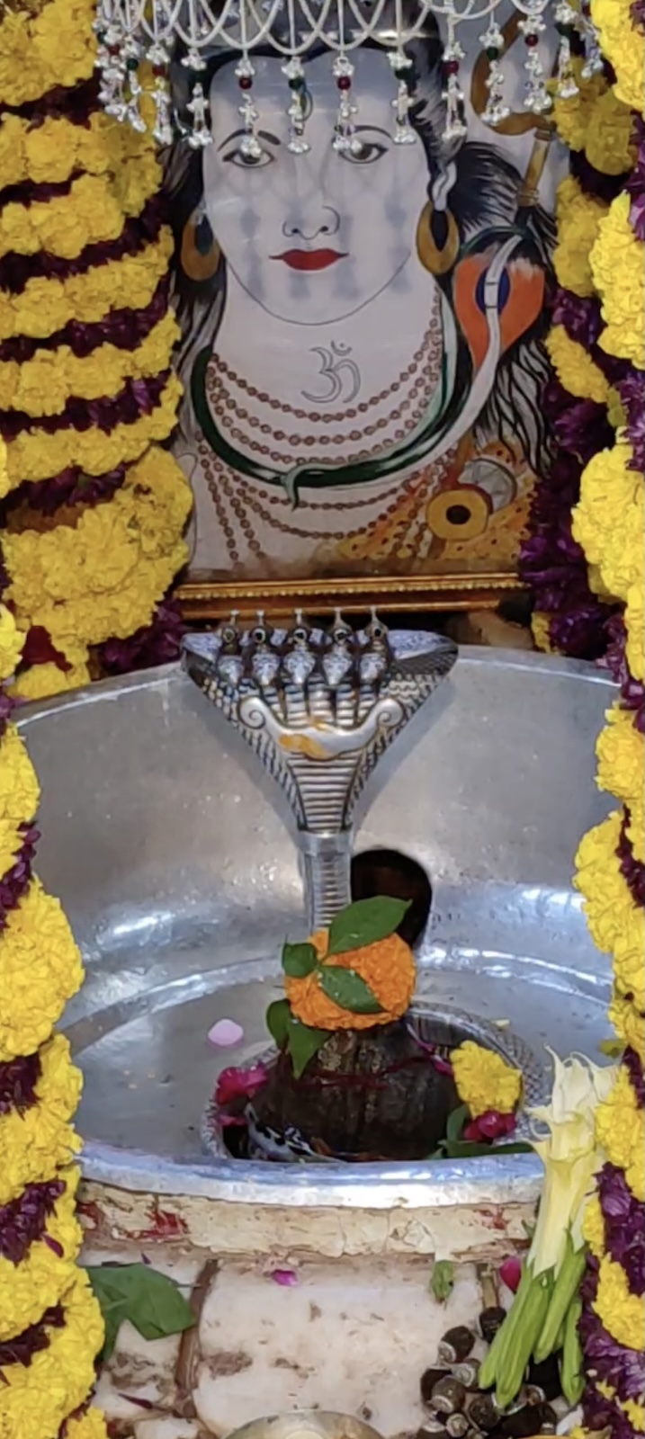 Rudrabhishek to Shree Kubereshwar Mahadev