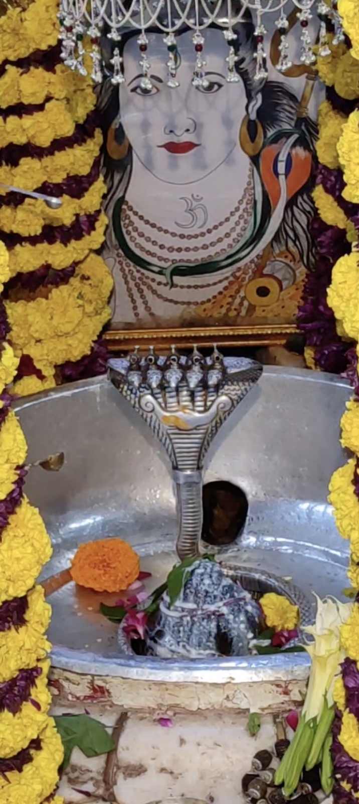 Rudrabhishek to Shree Kubereshwar Mahadev