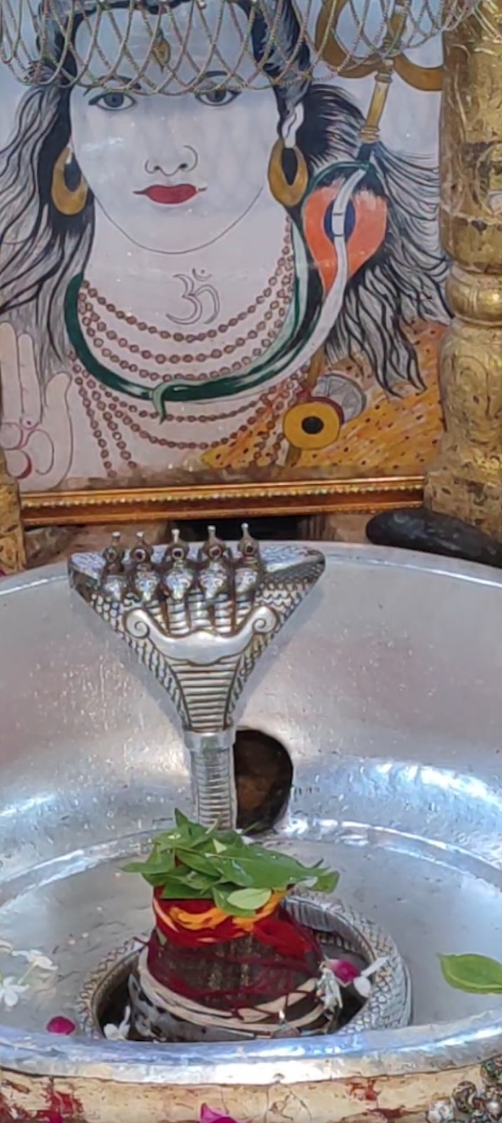 Rudrabhishek to Shree Kubereshwar Mahadev
