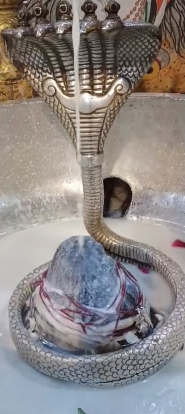 Rudrabhishek to Shree Kubereshwar Mahadev