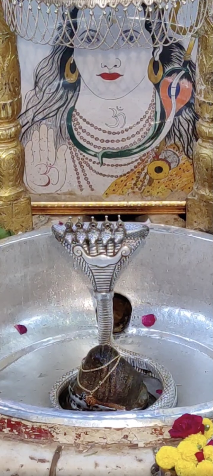 Rudrabhishek to Shree Kubereshwar Mahadev