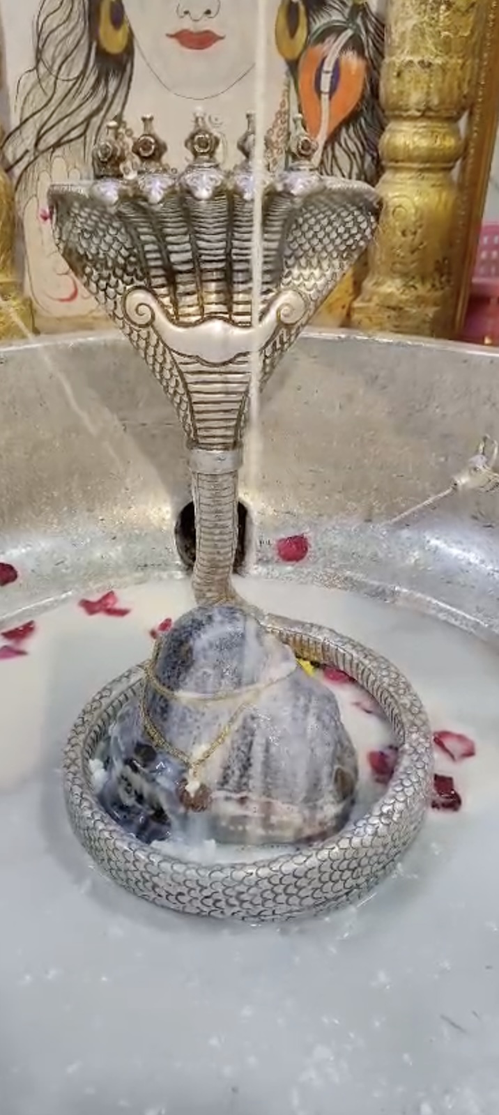 Rudrabhishek to Shree Kubereshwar Mahadev