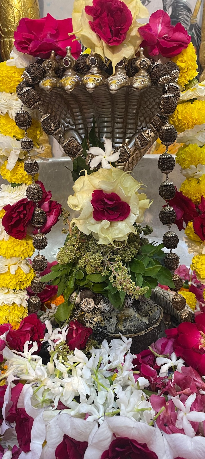 Rudrabhishek to Shree Kubereshwar Mahadev