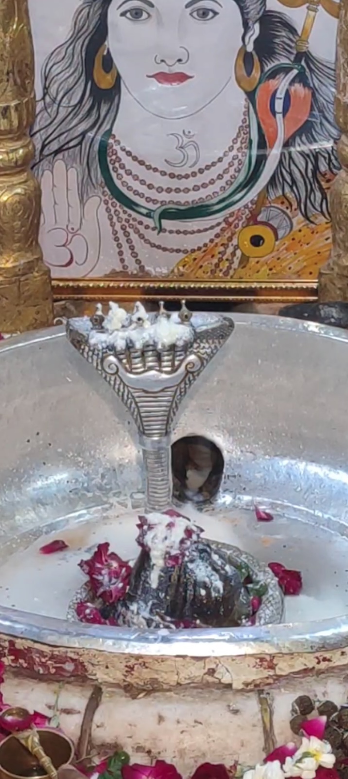 Rudrabhishek to Shree Kubereshwar Mahadev