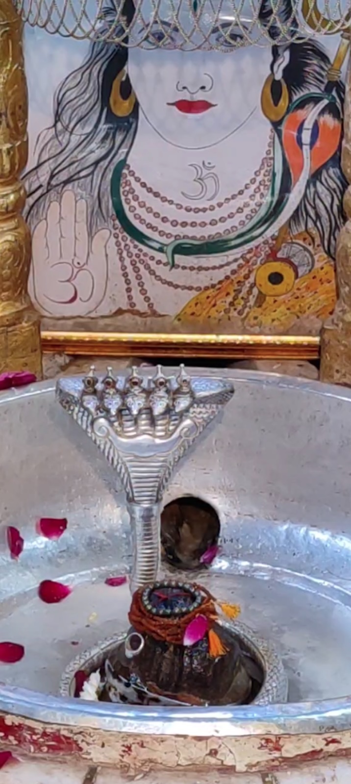 Rudrabhishek to Shree Kubereshwar Mahadev