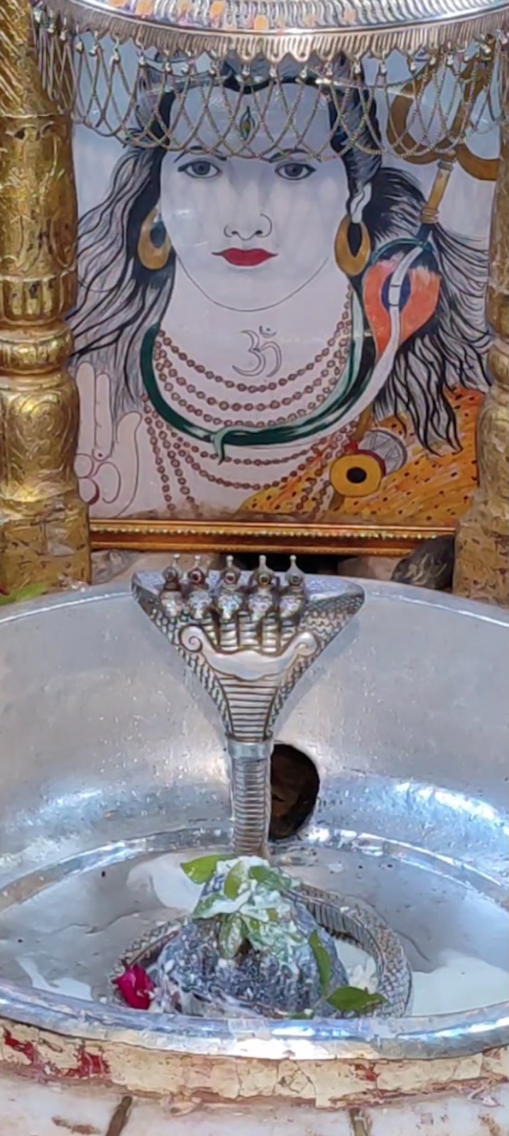 Rudrabhishek to Shree Kubereshwar Mahadev