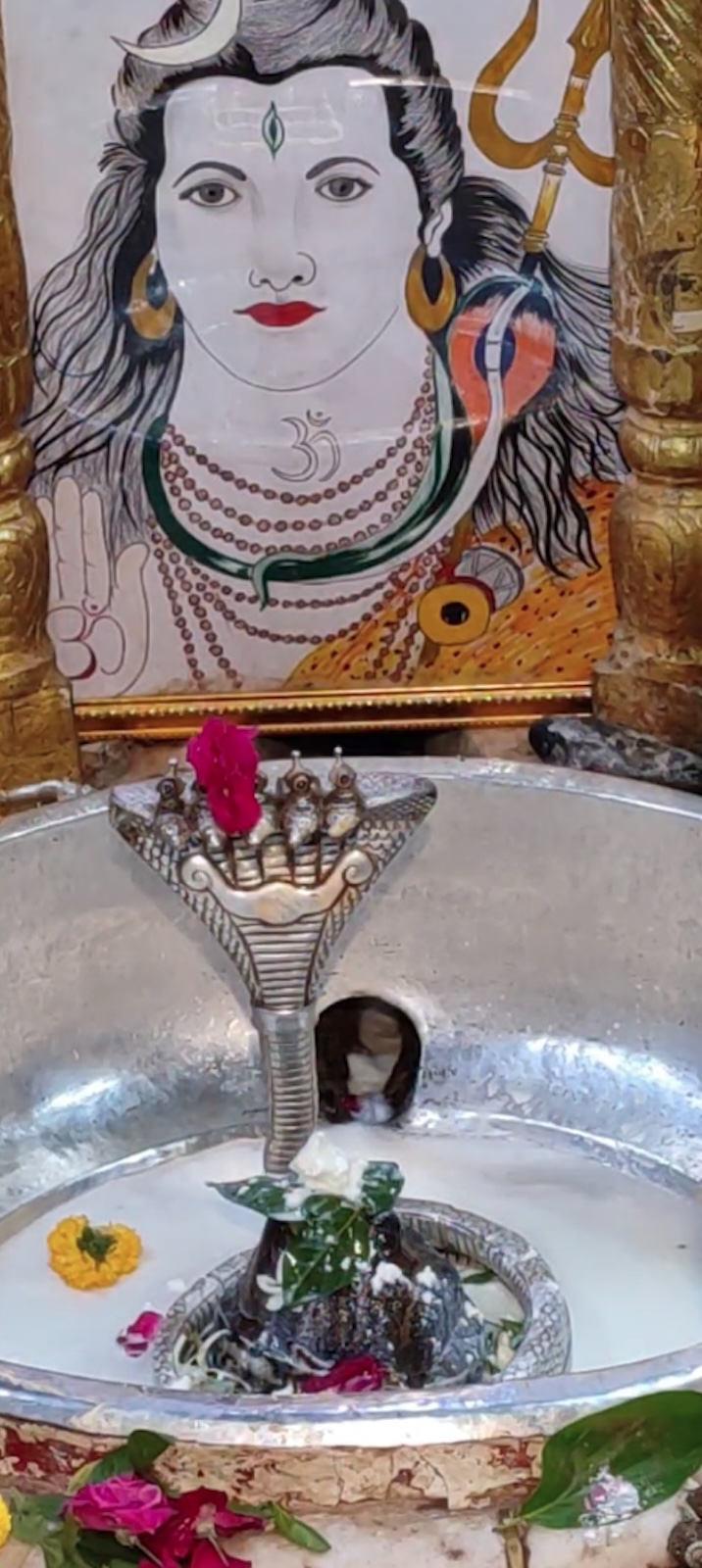 Rudrabhishek to Shree Kubereshwar Mahadev