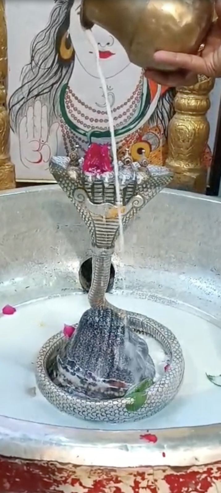 Rudrabhishek to Shree Kubereshwar Mahadev