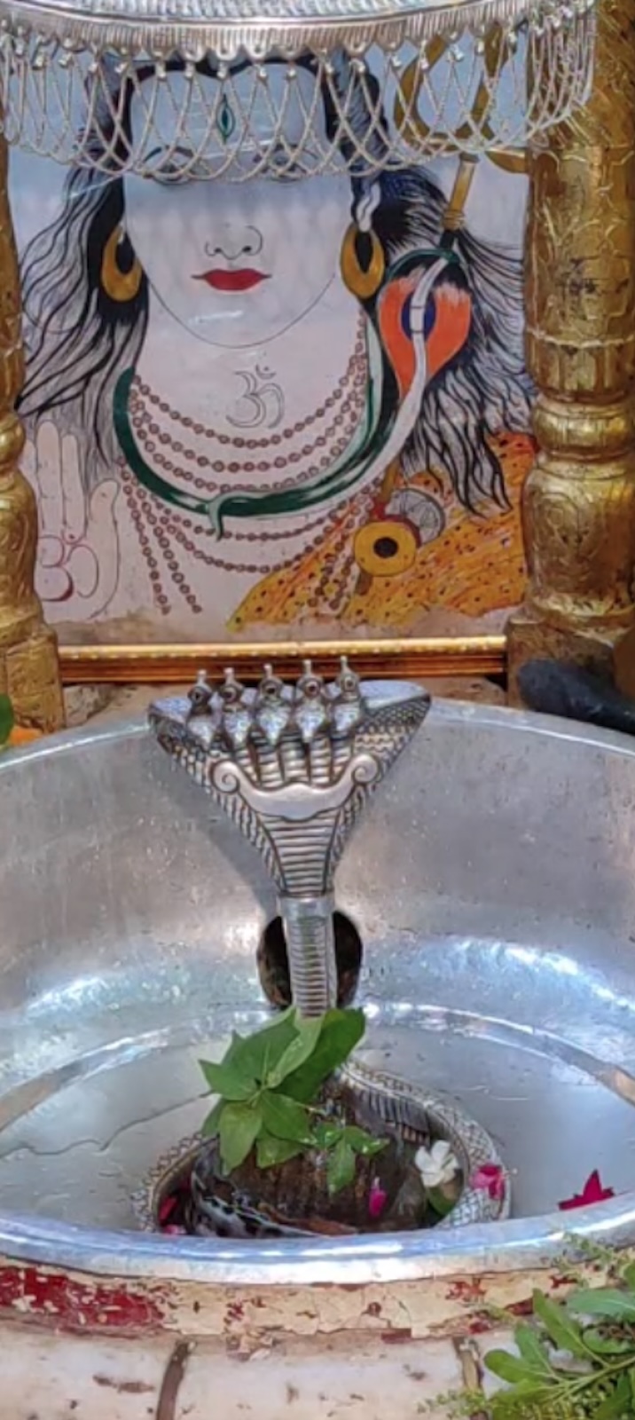 Rudrabhishek to Shree Kubereshwar Mahadev