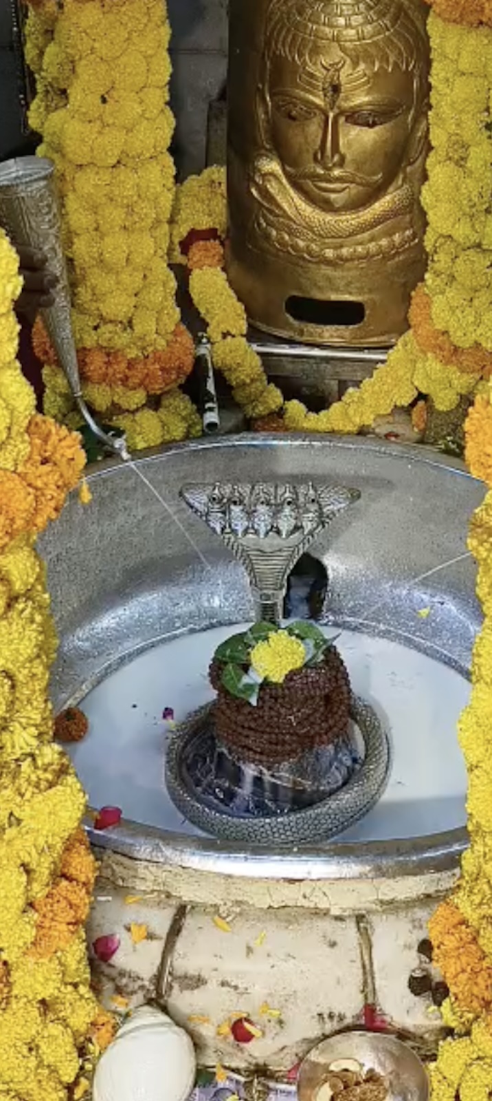 Rudrabhishek to Shree Kubereshwar Mahadev