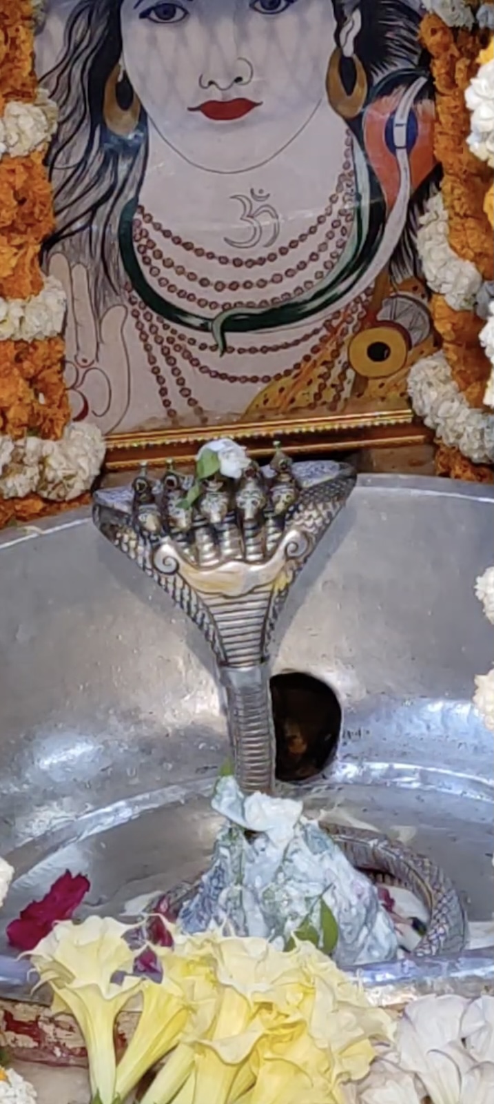 Rudrabhishek to Shree Kubereshwar Mahadev