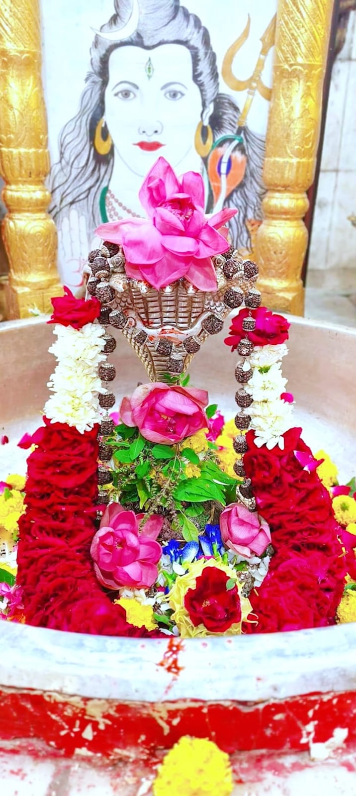 Rudrabhishek to Shree Kubereshwar Mahadev