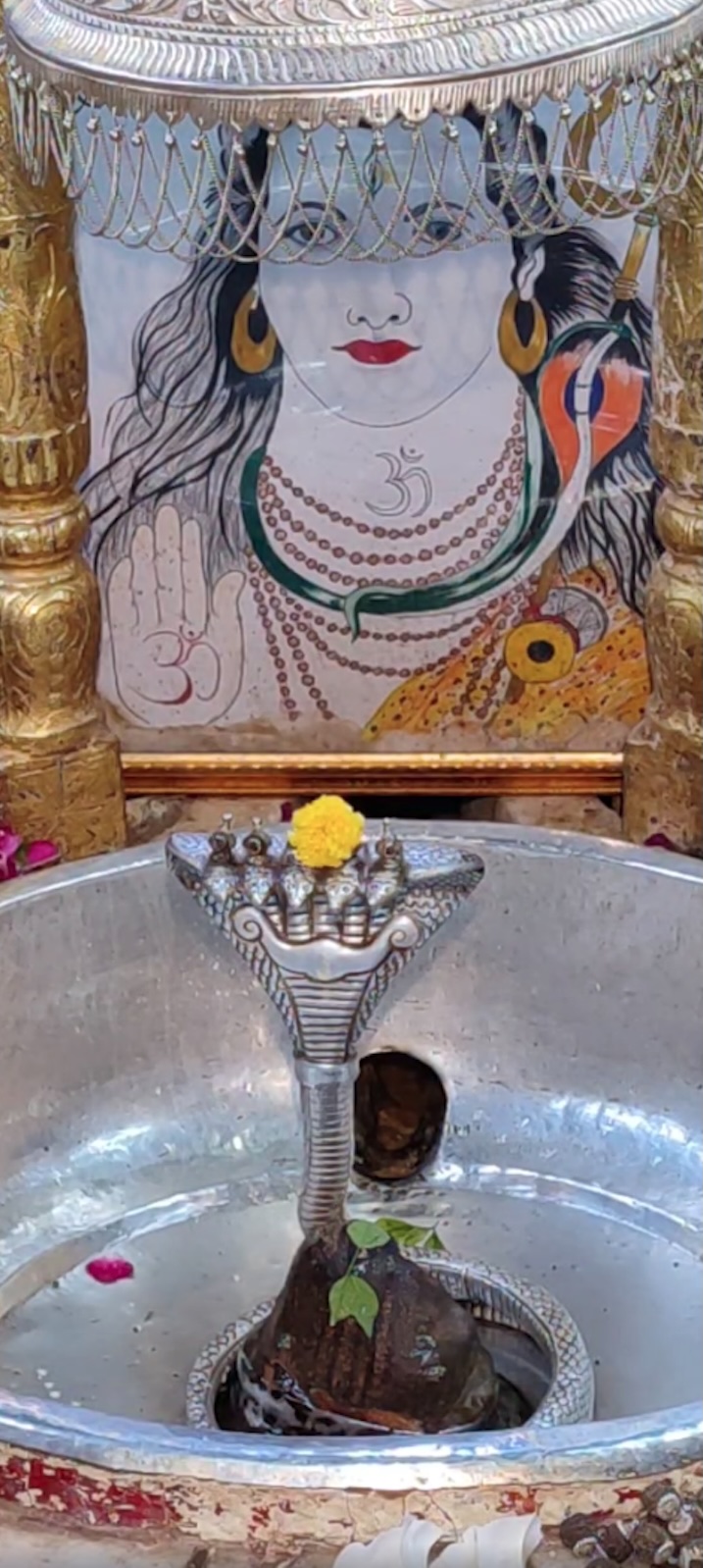 Rudrabhishek to Shree Kubereshwar Mahadev