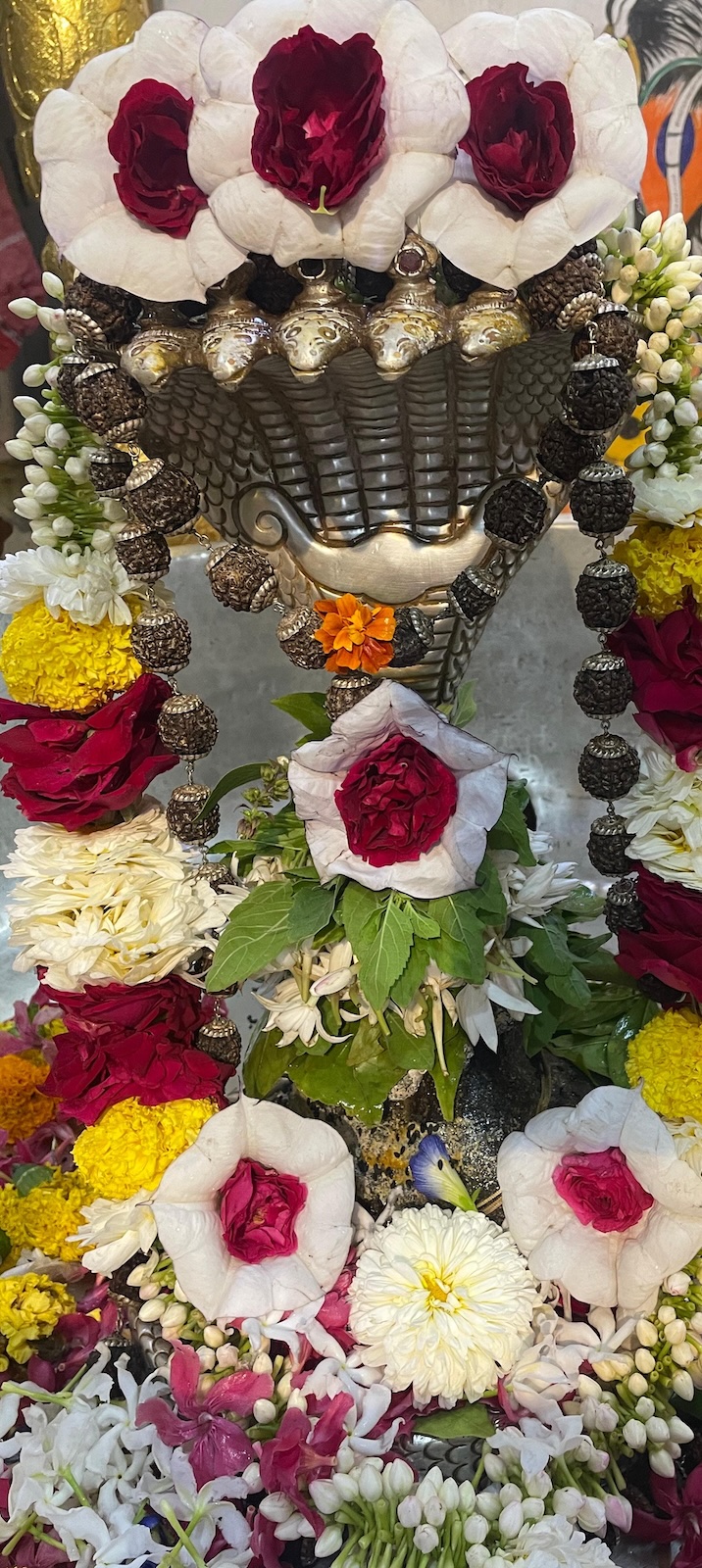 Rudrabhishek to Shree Kubereshwar Mahadev