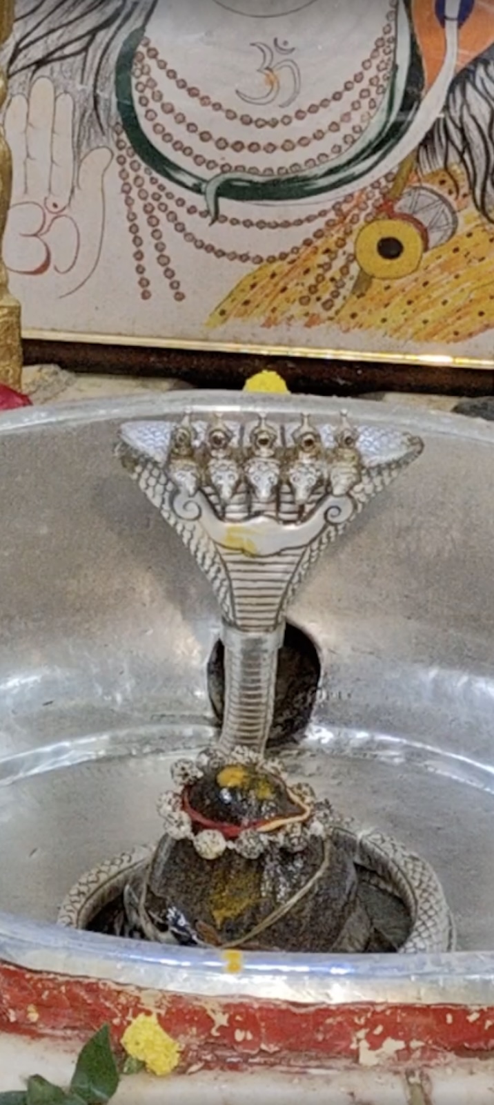 Rudrabhishek to Shree Kubereshwar Mahadev