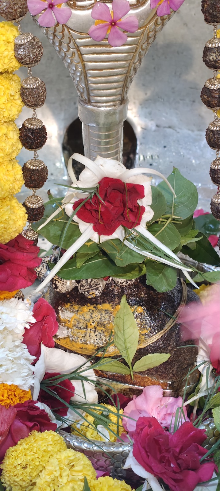 Rudrabhishek to Shree Kubereshwar Mahadev