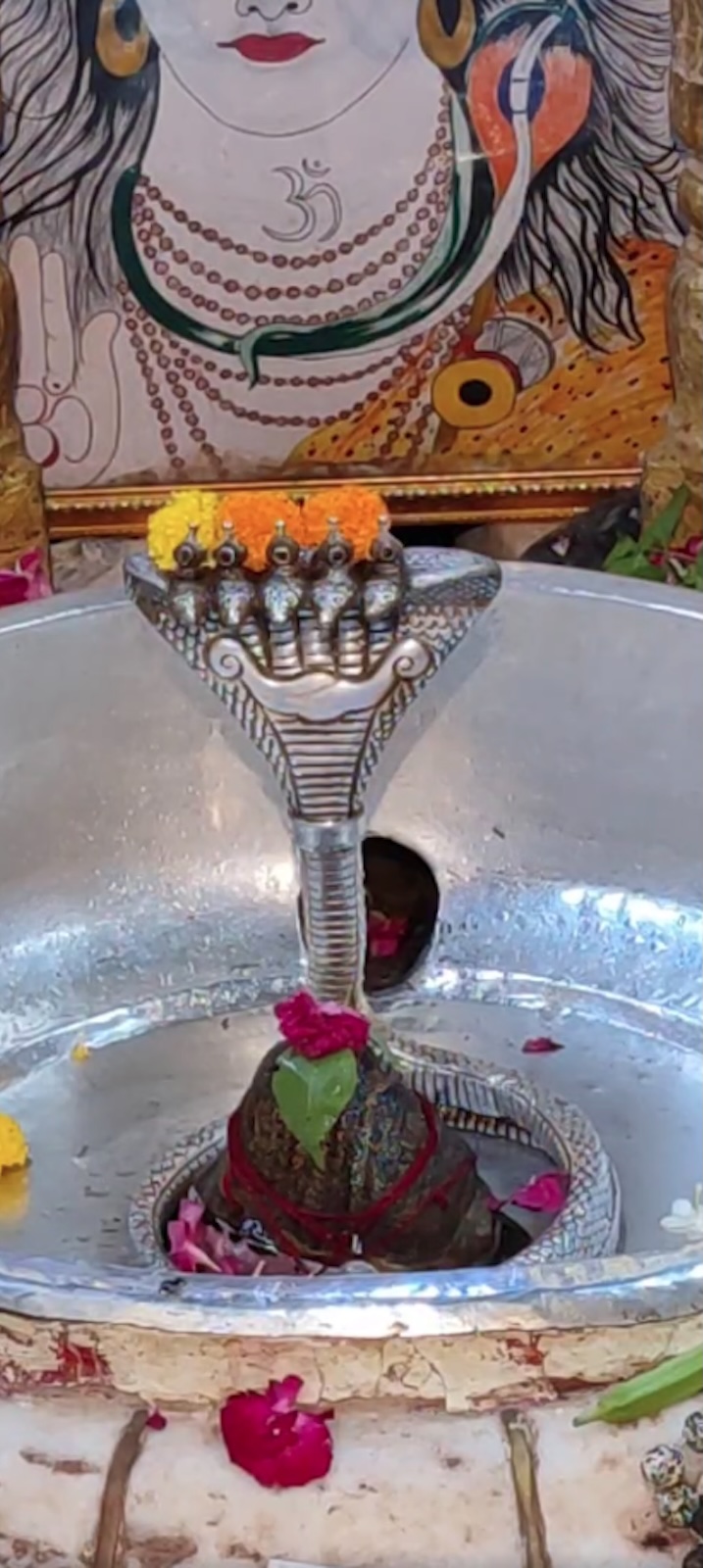 Rudrabhishek to Shree Kubereshwar Mahadev