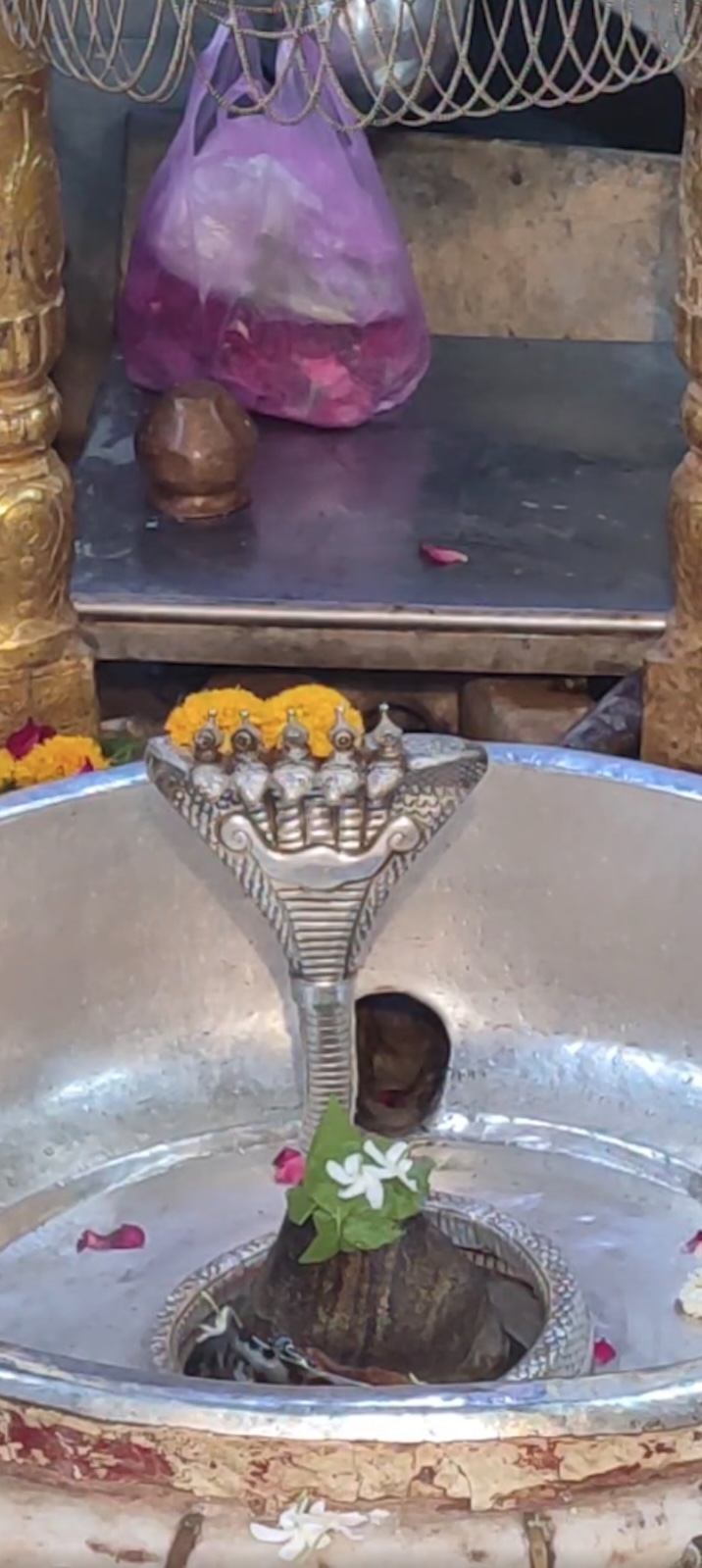 Rudrabhishek to Shree Kubereshwar Mahadev