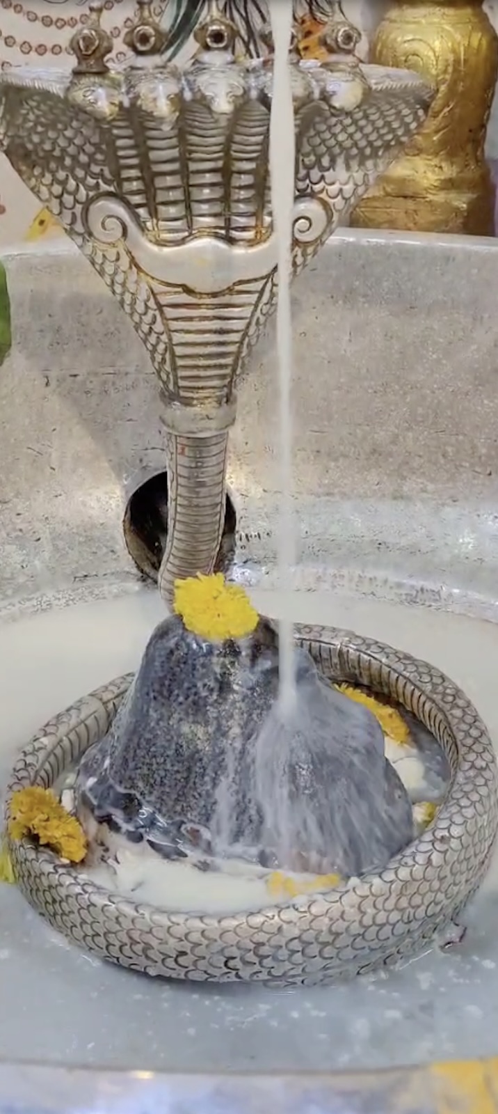 Rudrabhishek to Shree Kubereshwar Mahadev