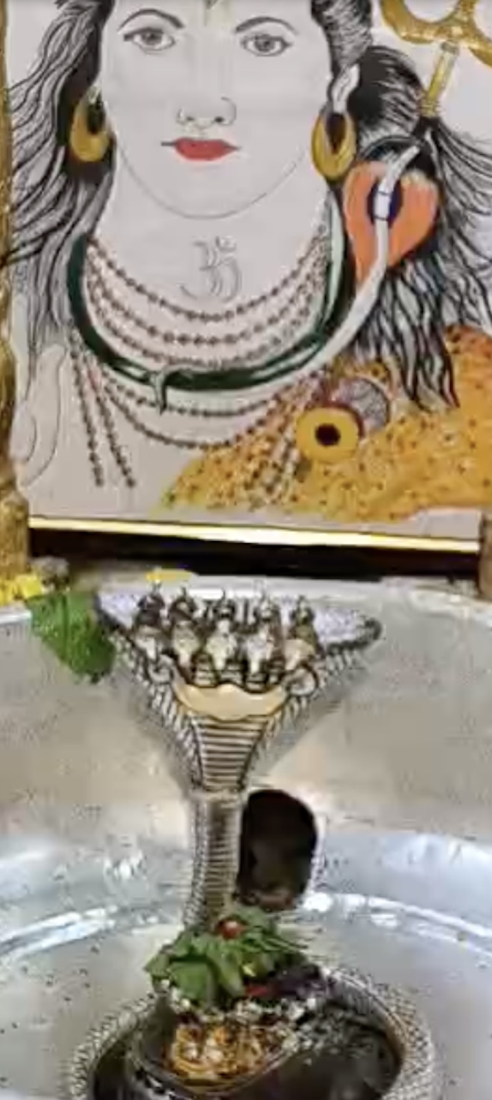 Rudrabhishek to Shree Kubereshwar Mahadev