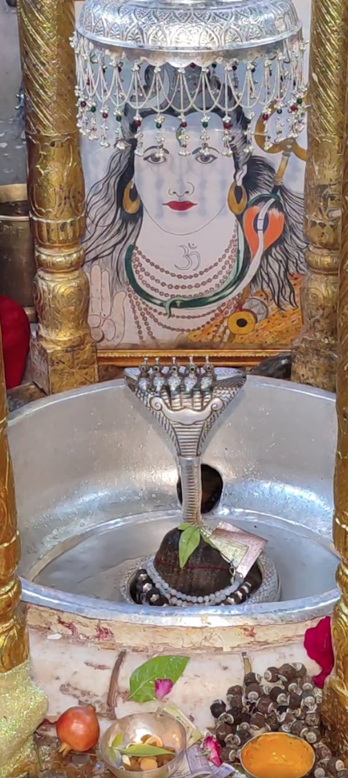 Rudrabhishek to Shree Kubereshwar Mahadev