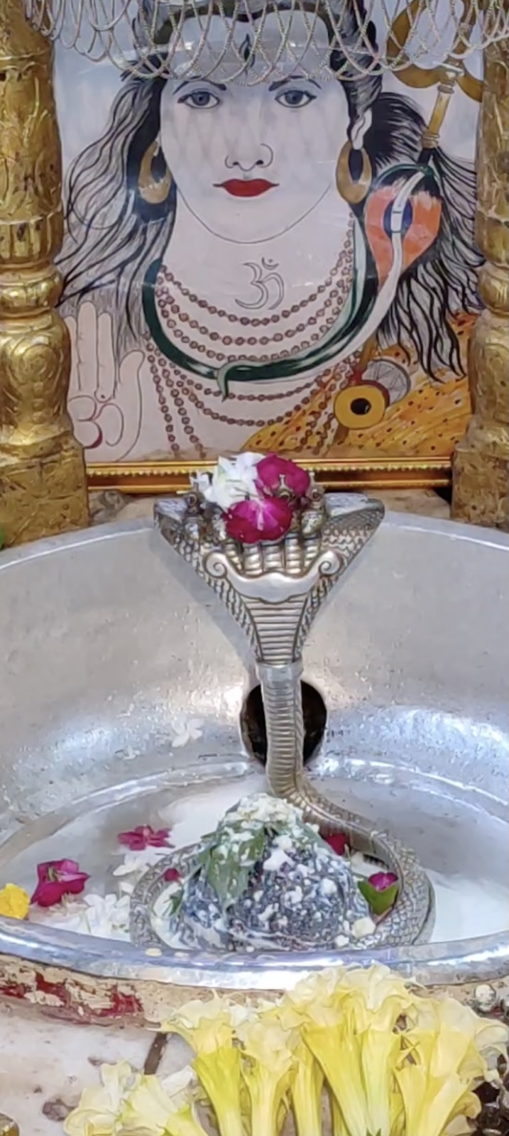 Rudrabhishek to Shree Kubereshwar Mahadev