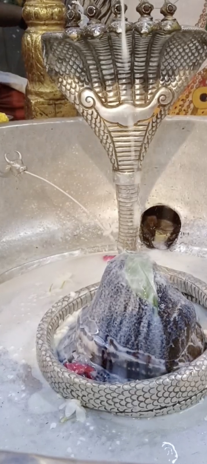 Rudrabhishek to Shree Kubereshwar Mahadev