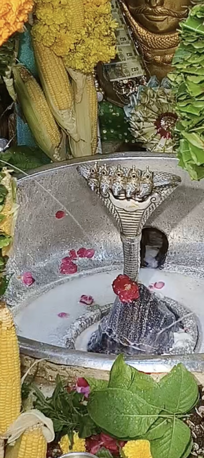 Rudrabhishek to Shree Kubereshwar Mahadev