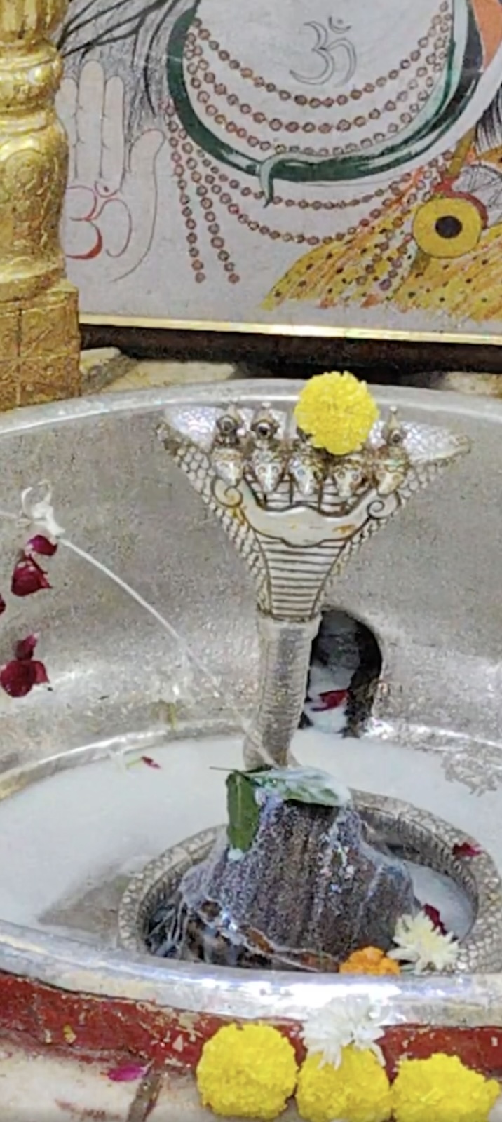 Rudrabhishek to Shree Kubereshwar Mahadev