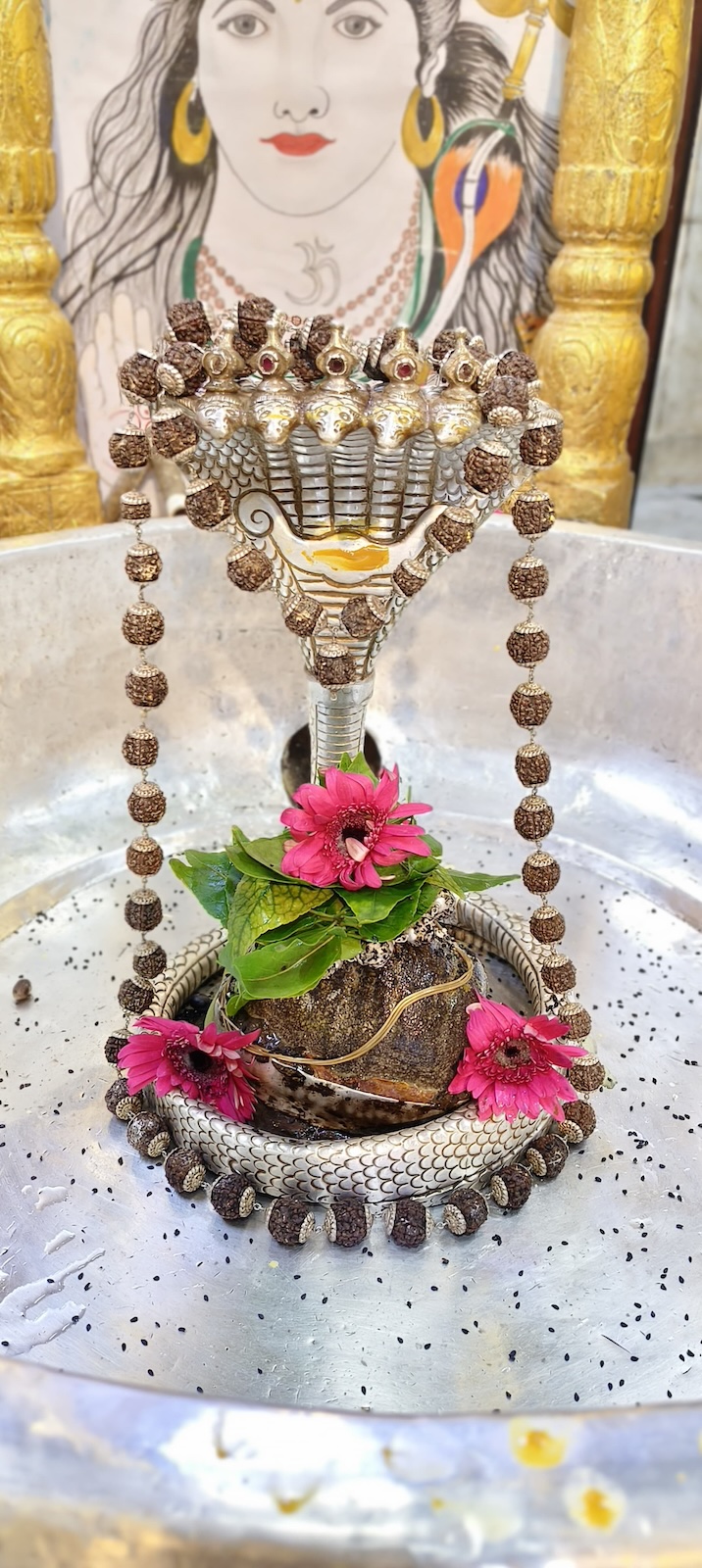 Rudrabhishek to Shree Kubereshwar Mahadev