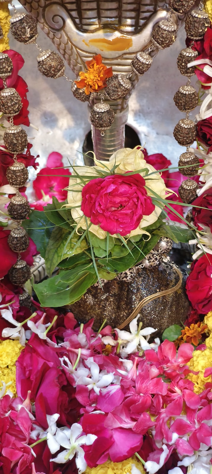 Rudrabhishek to Shree Kubereshwar Mahadev