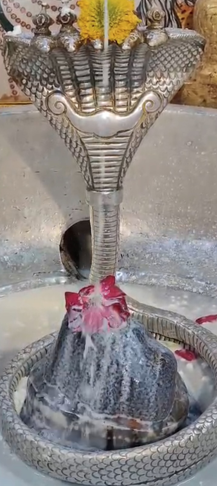 Rudrabhishek to Shree Kubereshwar Mahadev