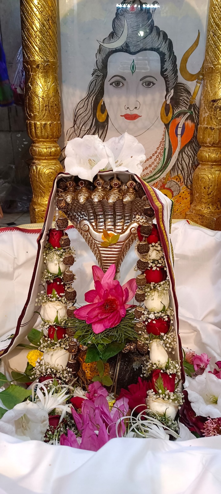 Rudrabhishek to Shree Kubereshwar Mahadev
