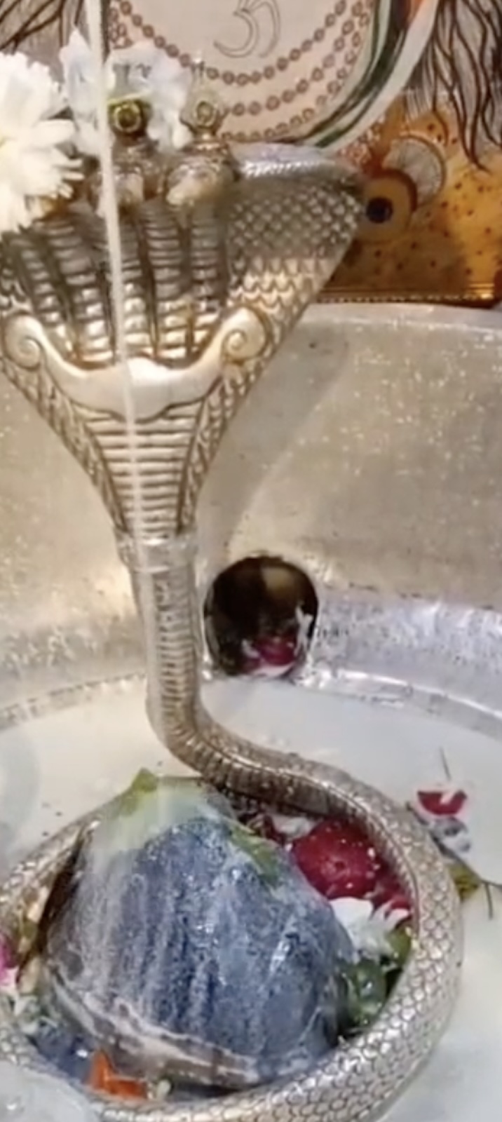 Rudrabhishek to Shree Kubereshwar Mahadev