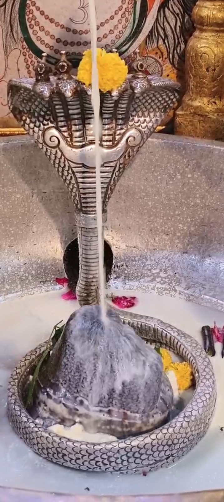 Rudrabhishek to Shree Kubereshwar Mahadev