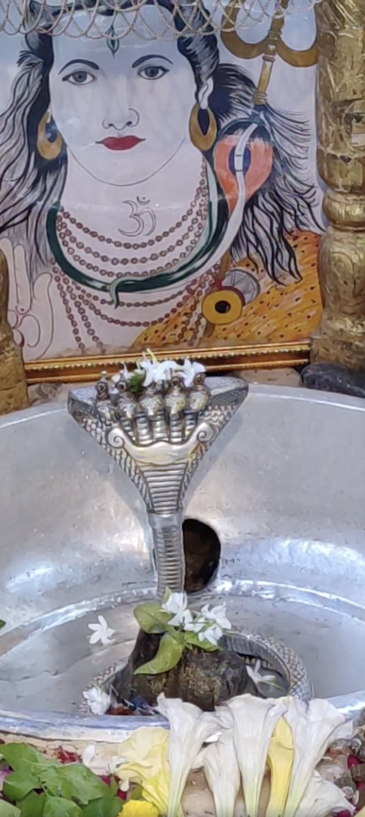 Rudrabhishek to Shree Kubereshwar Mahadev