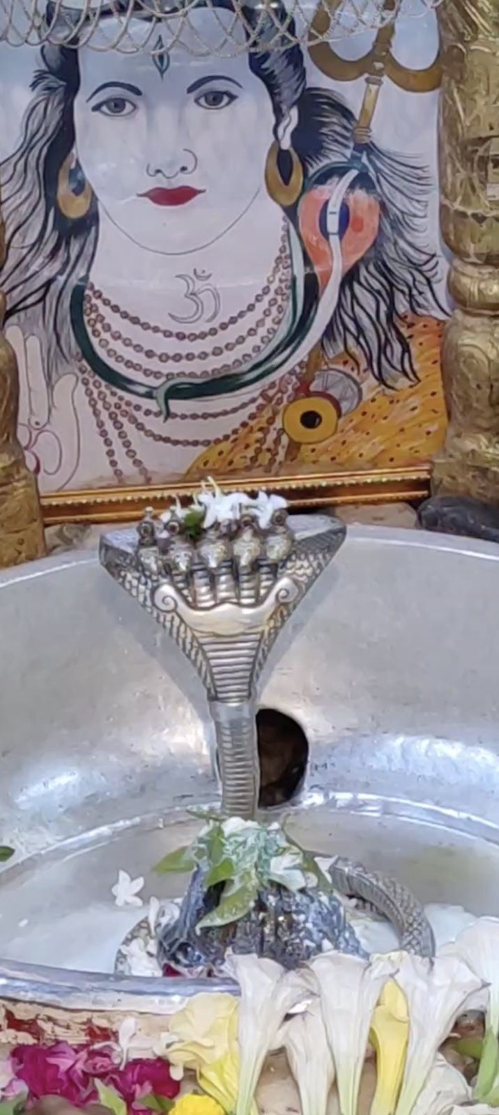 Rudrabhishek to Shree Kubereshwar Mahadev