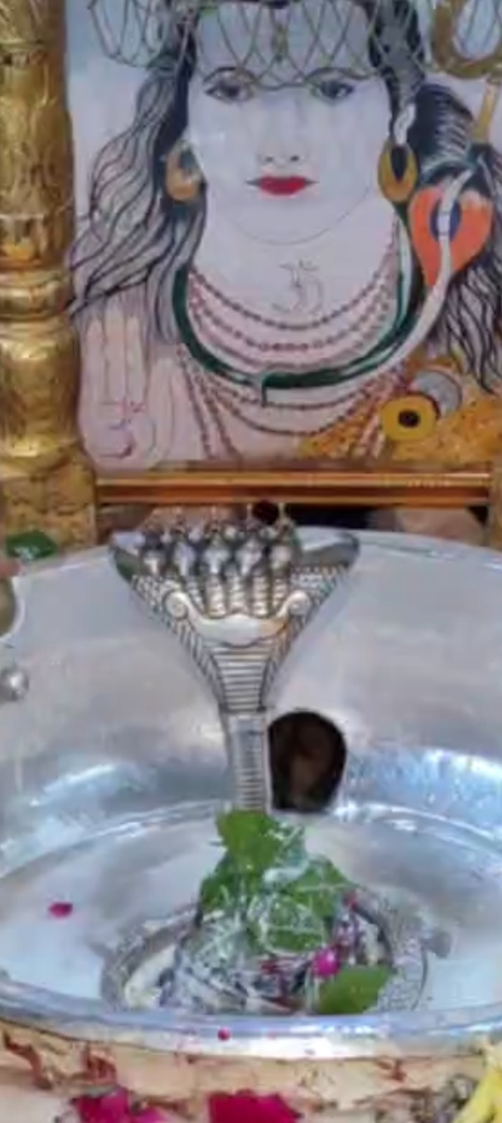Rudrabhishek to Shree Kubereshwar Mahadev