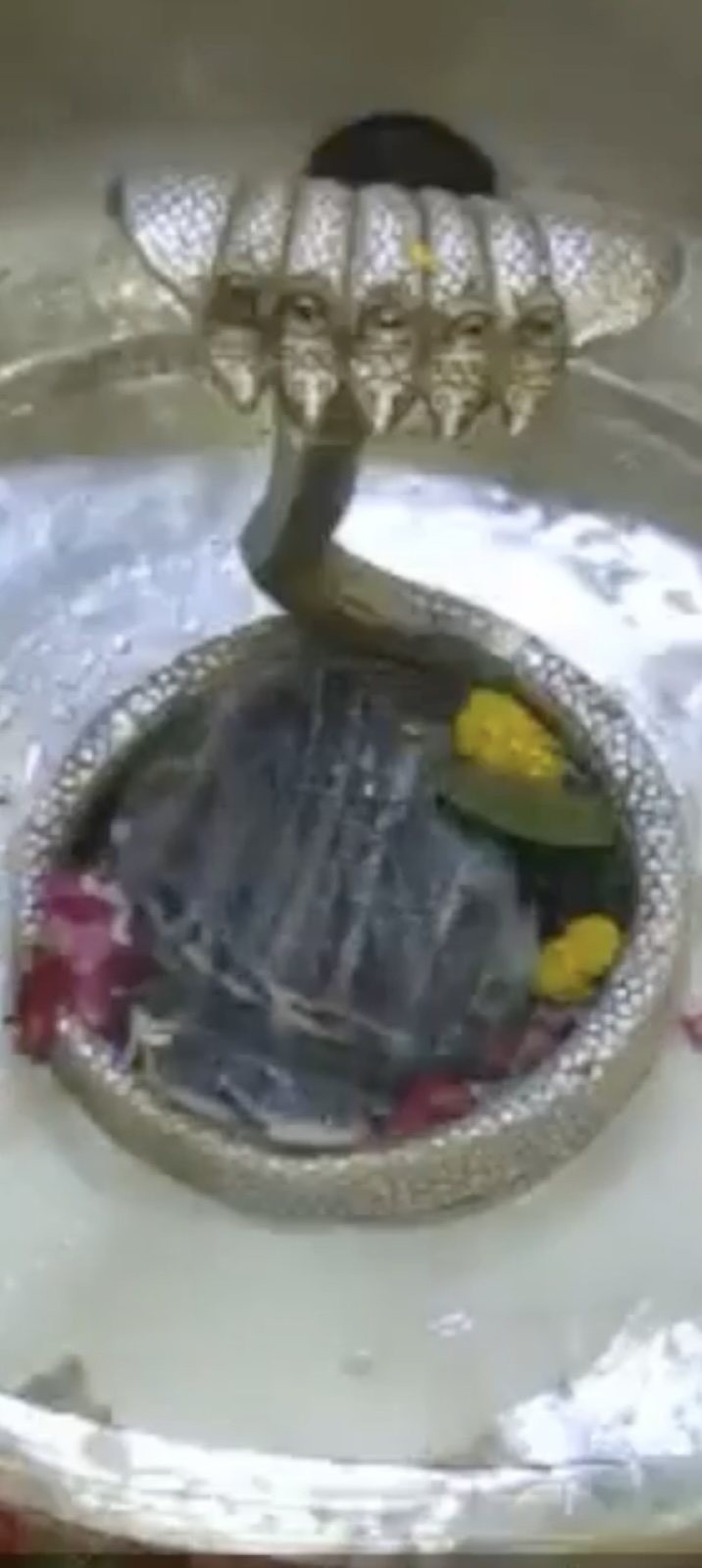 Rudrabhishek to Shree Kubereshwar Mahadev